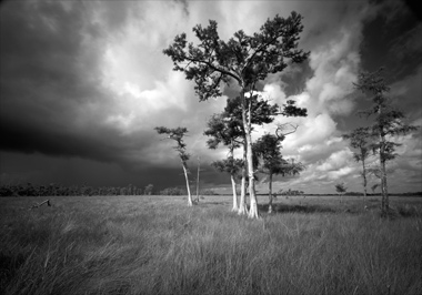 Tamiami Trail-2 photo by Clyde Butcher